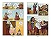 Squire: A Graphic Novel