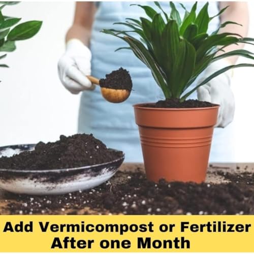 Image of Home Garden Potting Soil Mix for Plant- 5 Kg. Ready to Use All Purpose Home Garden Balcony Gardening Potting Soil Mix