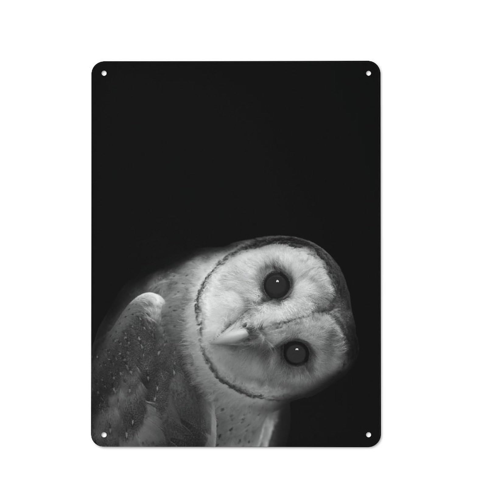 Barn Owl Portrait Tin Sign 40x30cm, Vintage Home Bar Decor for Cafe, Pub, Workshop Or Home Bar, for Relaxed Wall Styling