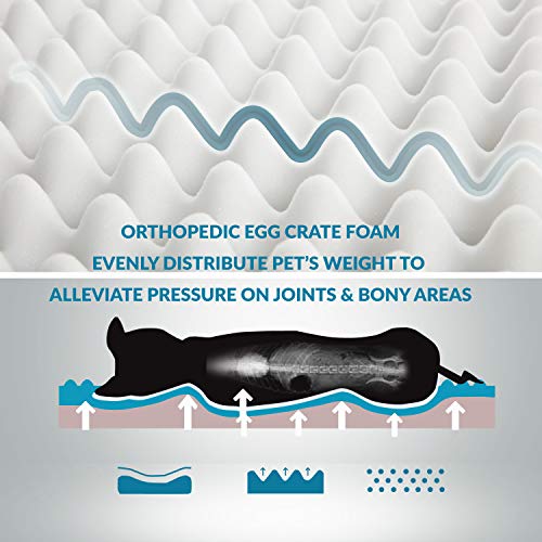 Petsure Orthopedic Dog Bed (L, 36x27x3 inches) for Small, Medium, Large Pets Up to 75 lbs - Foam Dog Bed with Plush Sherpa Top - Washable Cover - Grey - Thumbnail 3