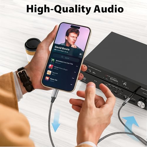 Cable USB C a Audio 1/4" TRS 3.3ft miniatura 5