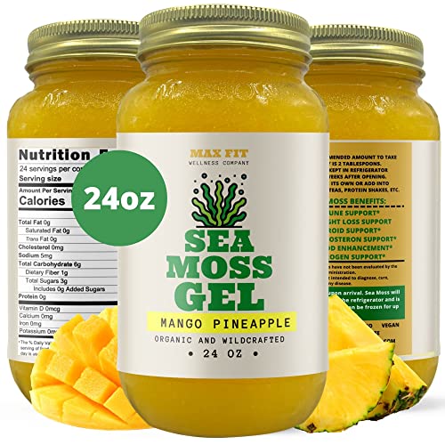 Our Top 20 Best Pineapple Sea Moss Benefits Of 2022 You Must Try