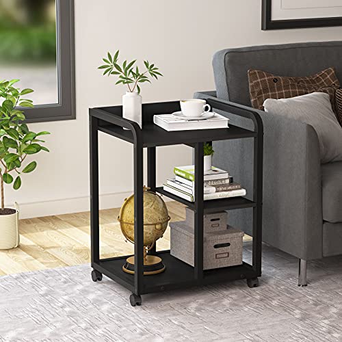 https://m.media-amazon.com/images/I/51Y+O2Y0D+S._SL500_.jpg