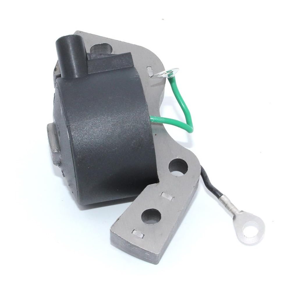 Bobine d'allumage de rechange pour moteur hors-bord 580118 580197