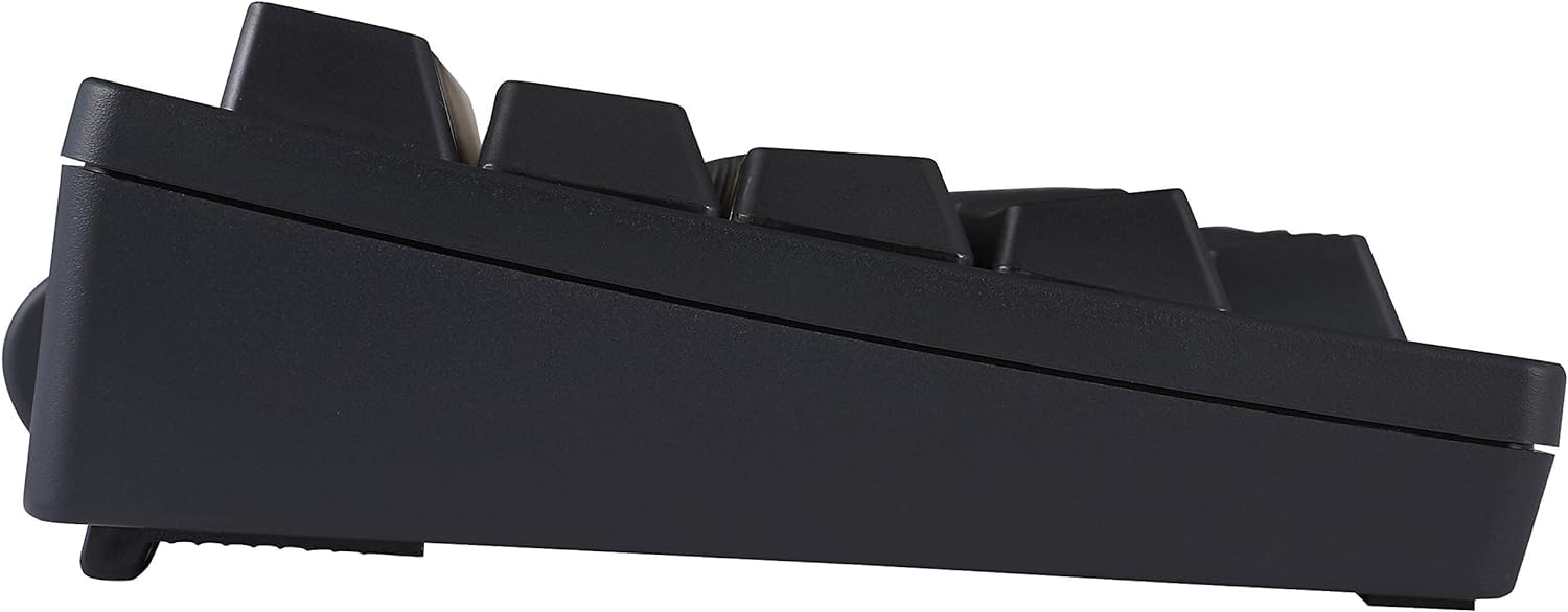 Amazon.com: HHKB PFU Professional Hybrid Type-S PD-KB800BS 