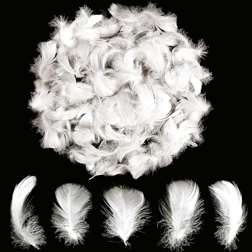 Gleemix 100 Stück Weiße Federn Zum Basteln Natürlich Federn Weiß 8-12cm Basteln & DIY Weisse Feder Traumfänger Engelsflügel Engelshaar Federboa Für Bob Ballon Füllung Hochzeit Deko Fasching Masken
