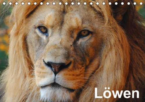 Löwen (Tischkalender immerwährend DIN A5 quer): Der Löwe wird als König der Tiere bezeichnet (Tischkalender, 14 Seiten) (CALVENDO Tiere) [Kalender] [Jan 13, 2014] Stanzer, Elisabeth