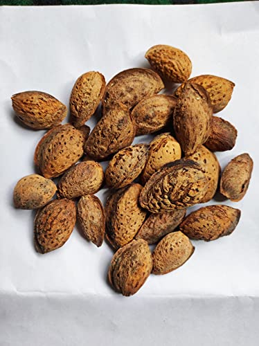 Image of Grade B /sasta badam /Low Price mamra badam 1kg