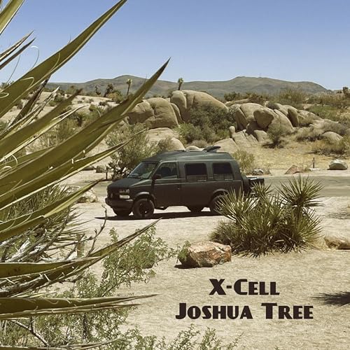  Joshua Tree
