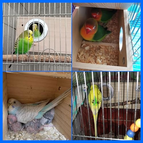 Image of kathson Parakeet Nesting Box,Wood Bird Nest House for Cage,Parrots Breeding Mating Boxes,Budgie Nesting Box for Conure,Lovebirds,Finch,Canary,Small and Medium-Sized Birds（M）