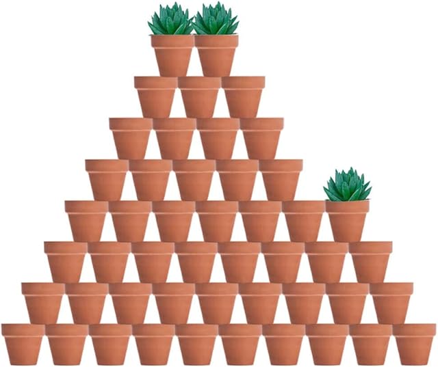 48 Pcs Tiny Terracotta Pots - 2 inch Small Mini Clay Pots with Drainage Holes Flower Nursery Terra Cotta Pots for Indoor/Outdoor Succulent Plants, Crafts, Wedding Favor