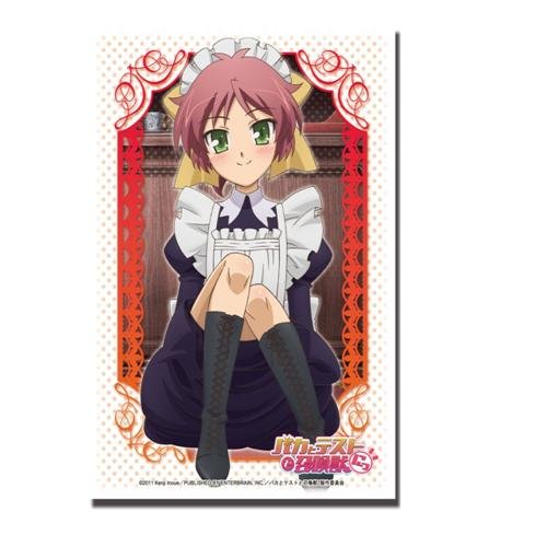 ブシロードスリーブコレクションHG (ハイグレード) Vol.158 バカとテストと召喚獣にっ! 『島田 美波』