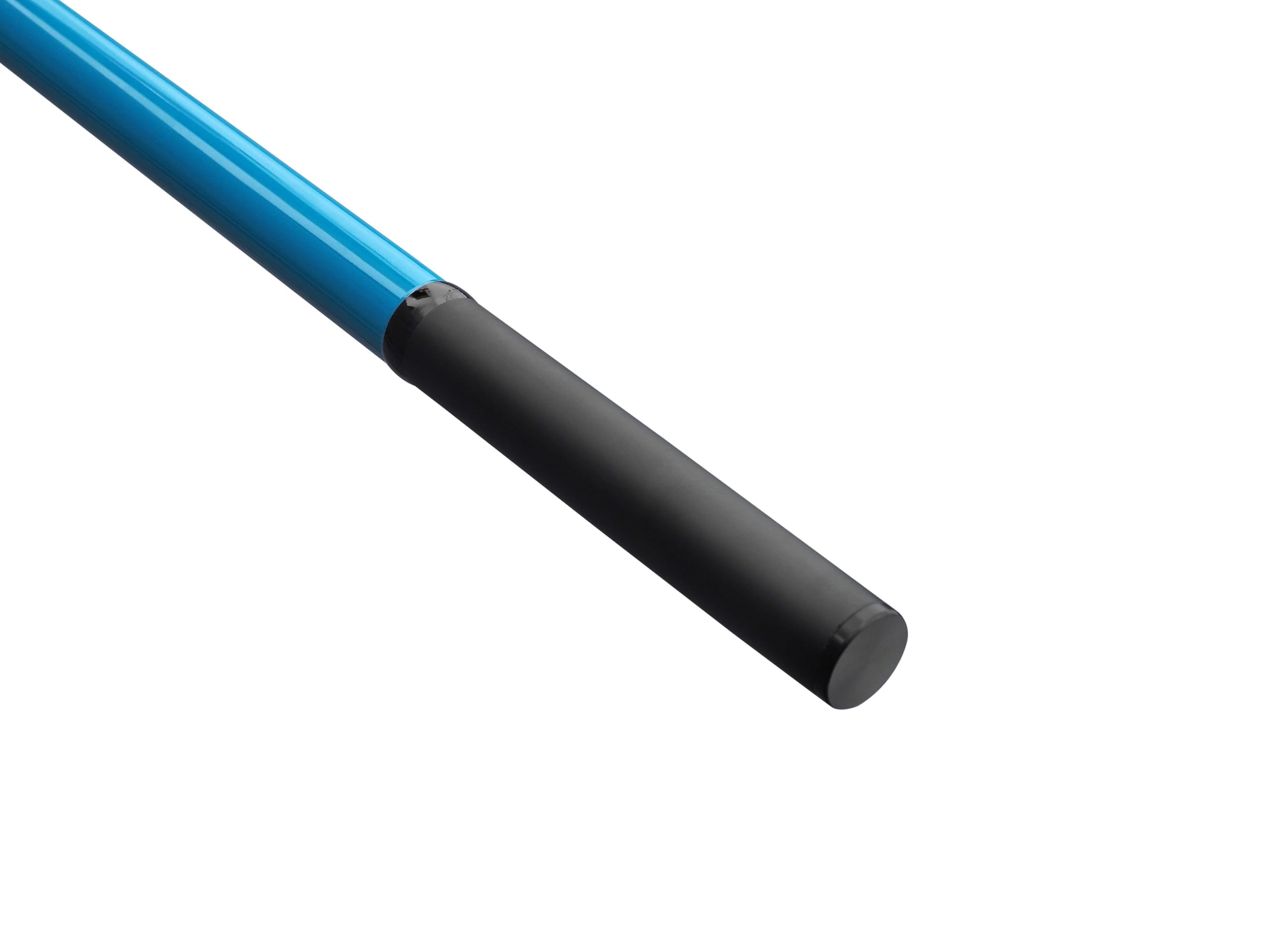 Mitchell Neuron SW II Ensemble Canne et Moulinet Surf | Ensemble de pêche en mer | Moulinet 1+1 roulement | Corps en Graphite | Pré-enroulé, prêt à l'emploi | Options Multiples