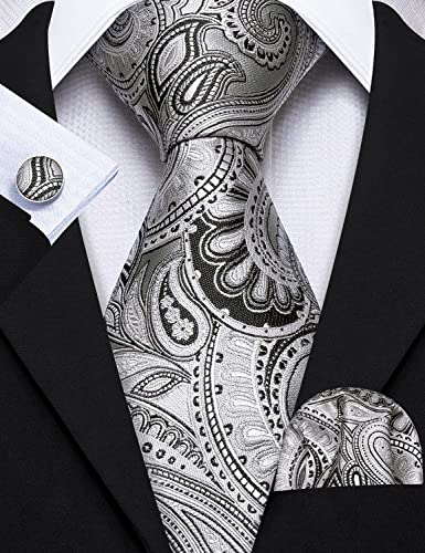 Image of Barry.Wang Paisley Tie Fashion Set Hanky Cufflinks Neckties for Men Woven Silk