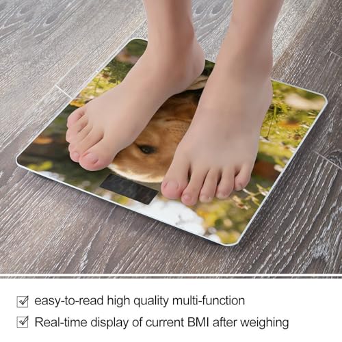 Báscula Digital de Baño con Plataforma de Vidrio Templado miniatura 5