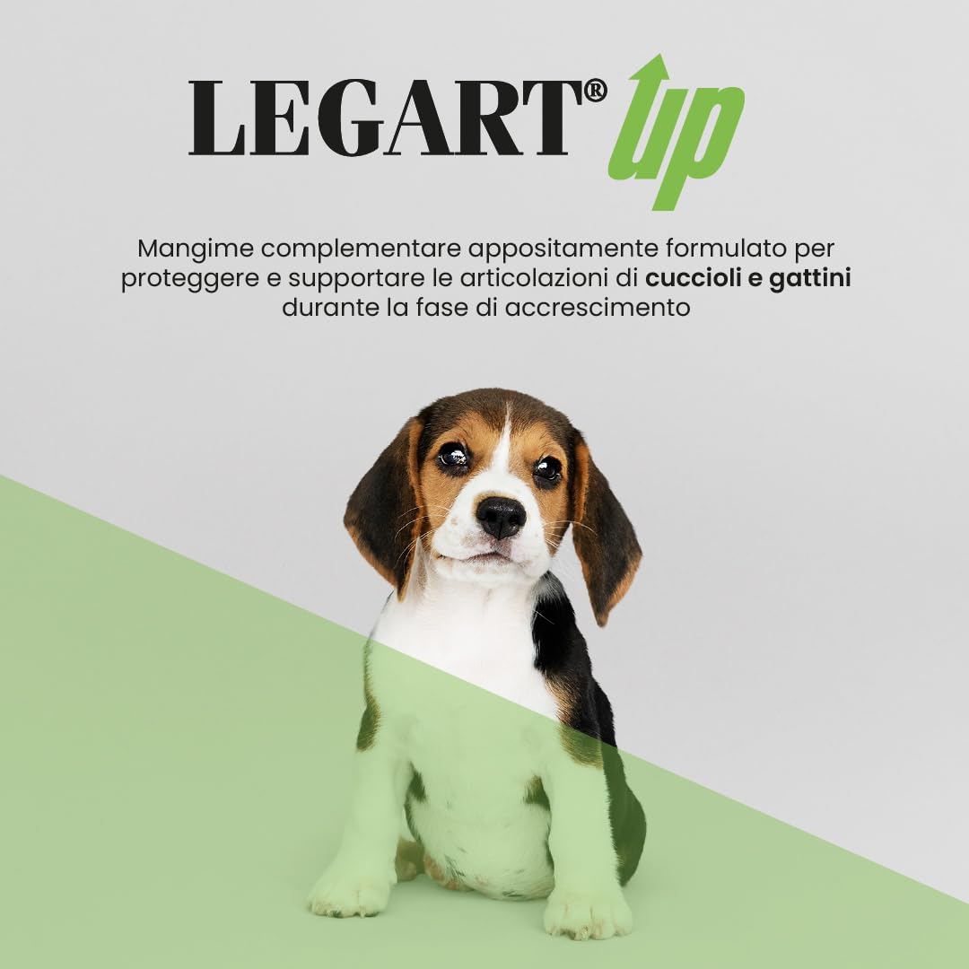 Aurora Biofarma Legart Up 120 Compresse - Mangime complementare per cani per utile per la protezione ed il rinforzo della normale funzione articolare.