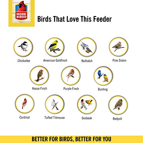 More Birds Abundance Bird Feeder, Combination Mixed Seed and Thistle, 6 Feeding Ports, 3.5 lb Seed Capacity - Thumbnail 7