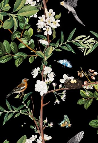 Juangfia ǎ V[  ǎ hCNV[g Ȃ 10[g ubN EH[XebJ[