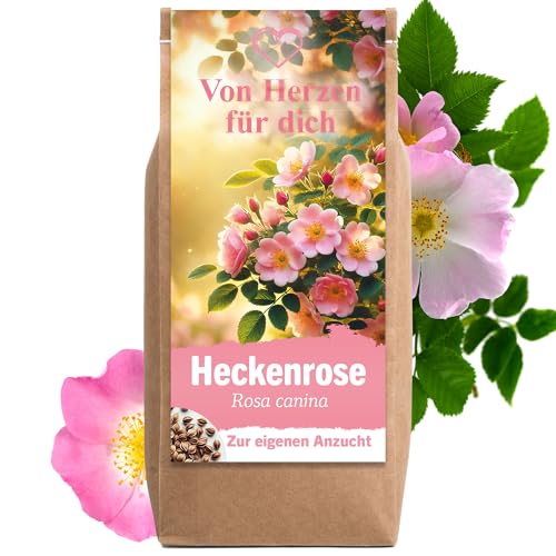 Geschenke für Frauen Geschenke für Männer Blumen Samen Anzuchtset Geburtstagsgeschenk für Frauen dankeschön geschenke Mutter tochter geschenk hochzeit geschenk für Freundin Heckenrose Blumen Geschenke für Frauen Geschenke für Männer Blumen Samen Anzuchtset Geburtstagsgeschenk für Frauen dankeschön geschenke Mutter tochter geschenk hochzeit geschenk für Freundin Heckenrose Blumen
