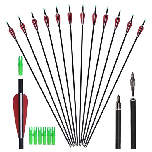 GPP Carbon 30-Inch Arrows with Field Points Replaceable Tips (12 Pack) for Recuve Bow & Compound Bow