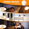Neporal Rechargeable Light Bulbs + Amber Warm Light Bulbs