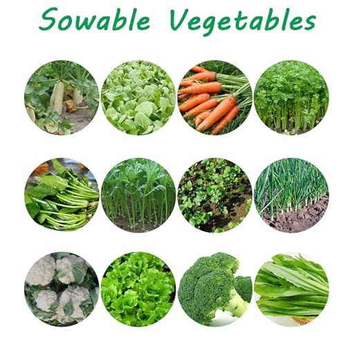 El mejor review de Sembradora al mejor precio. 17 Imagen adicional