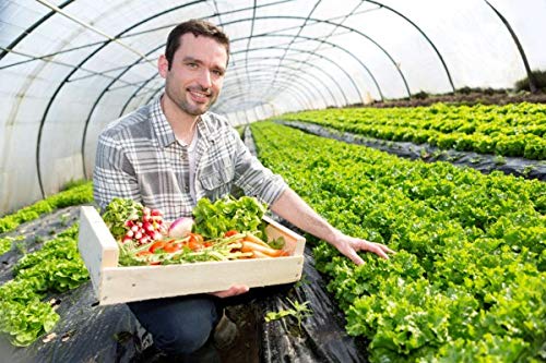 A&A Green Store Greenhouse Plastic Film Clear Polyethylene Cover Uv Resistant (9 Ft Wide X 25 Ft Long) #TOP3