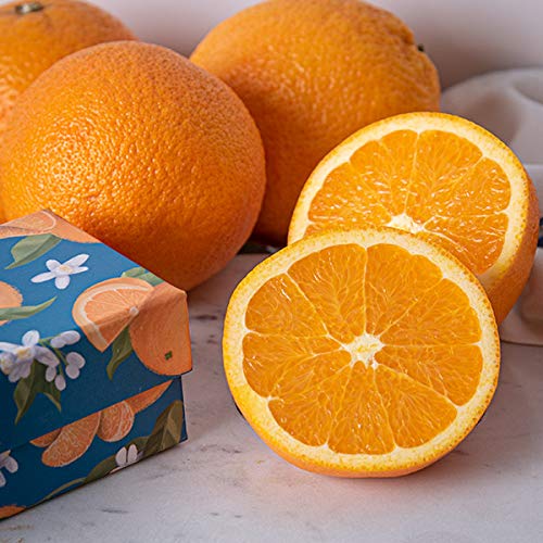 Gourmetgiftbaskets A4407 Gourmetgiftbasketsdeluxe Fruit Basket thumb #3