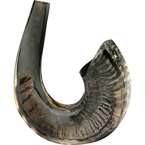 Ram's Horn Shofar Kosher Large Size 17