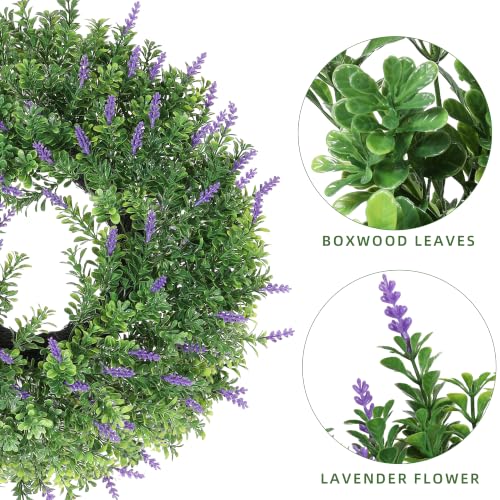 FPROOM 18 in Boxwood Wreath for Front Door - image 2
