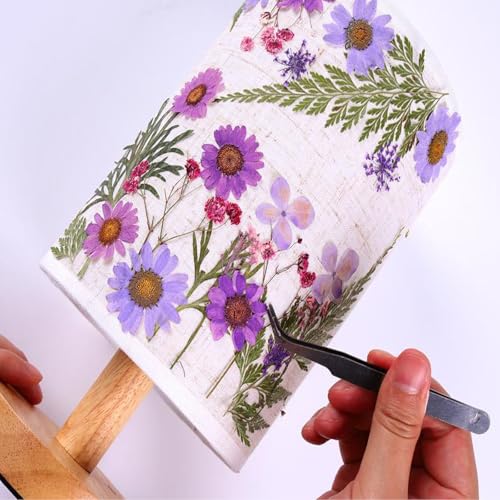 36 piezas de flores secas prensadas para manualidades y decoración miniatura 4