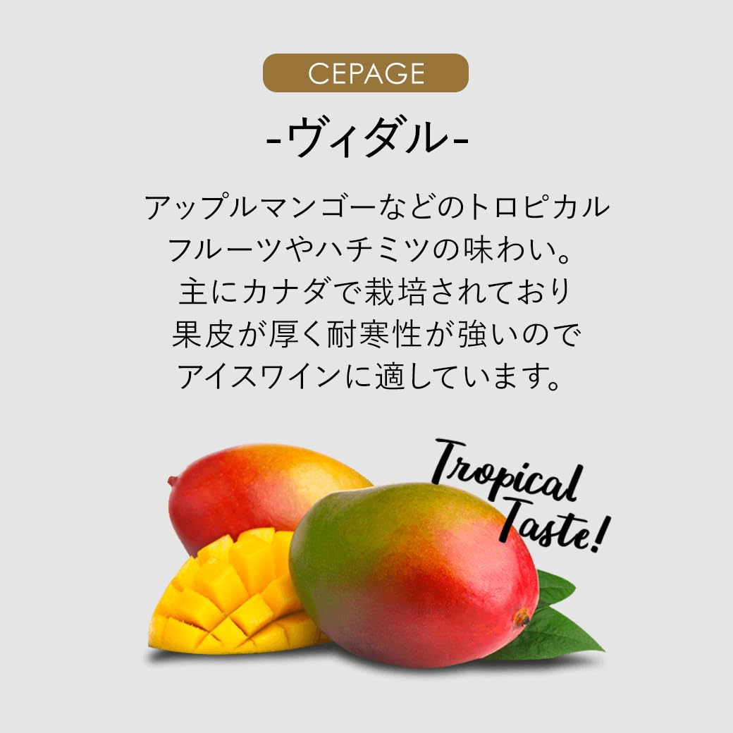 よへい様　ピリテリー 1本　ヴィダル3本　2008年1本　合計5本 よへい様 ピリテリー 1本 ヴィダル3本 2008年1本 合計5本 よへい