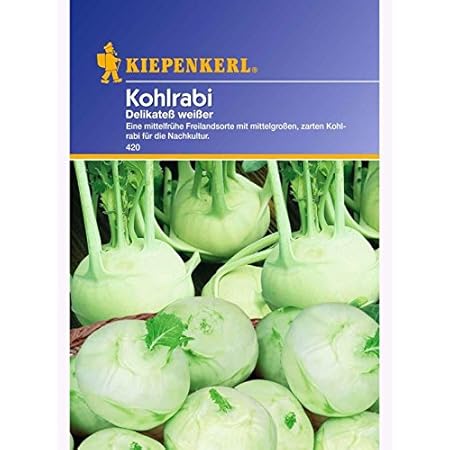 Kohlrabi Delikatess weisser