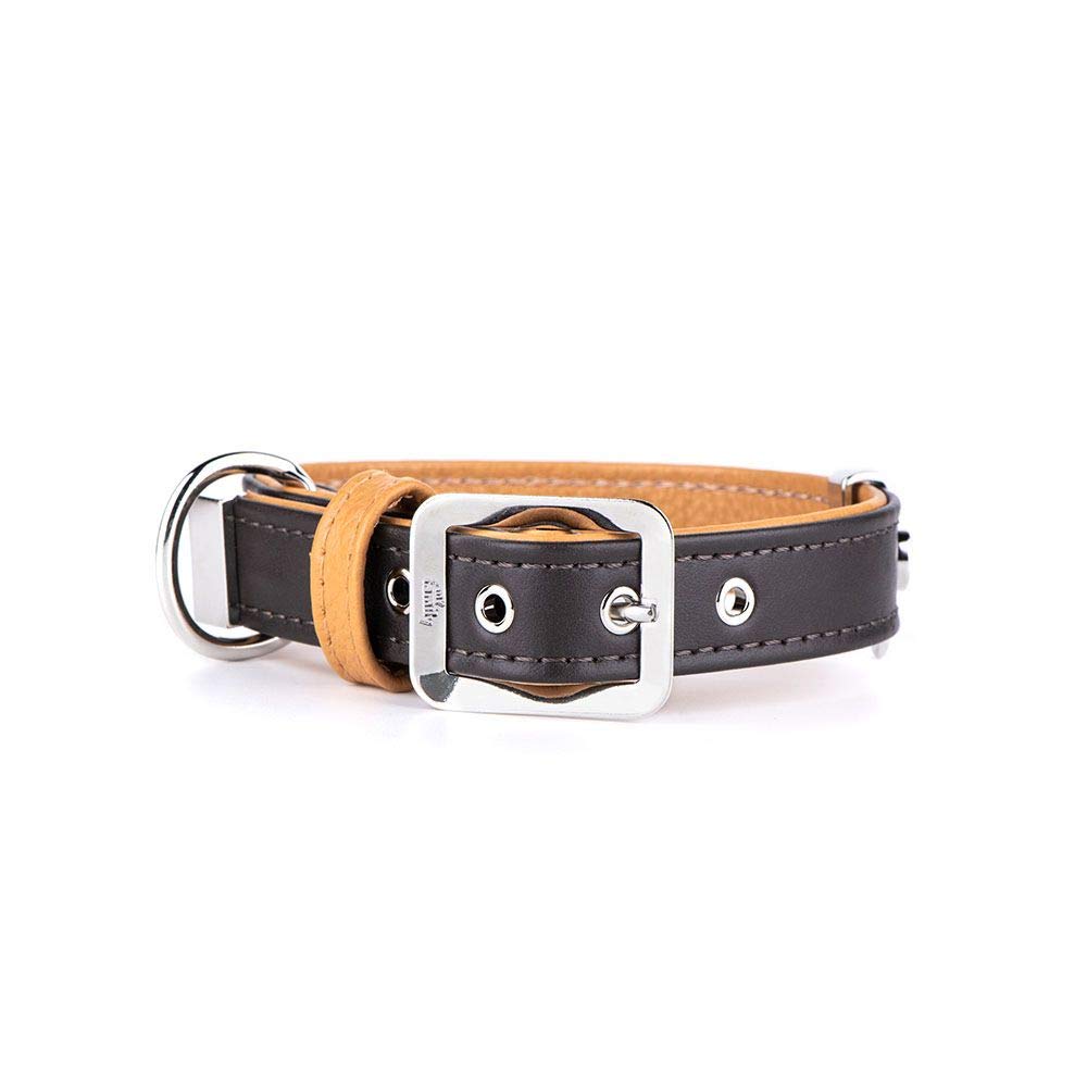 Collier pour chien réglable MyFamily en cuir pour les balades quotidiennes