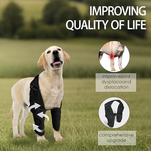 Image of Adjustable Dog Elbow Brace with Shoulder Support,Dog Front Leg Brace for Torn Ligaments, Arthritis,Post-Operative Rehabilitation, Pressure Sores(Both Leg,L)