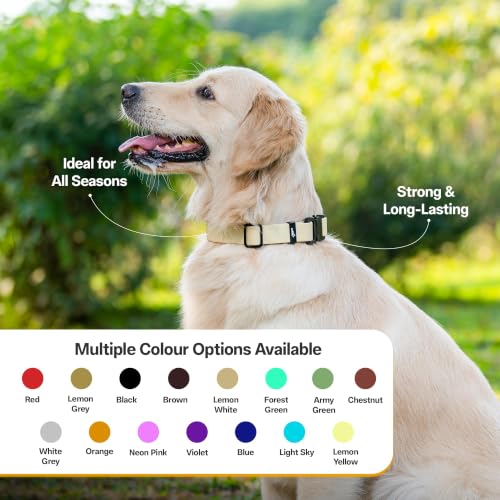 Image of Adil's Biothane Waterproof Dog Collar, Dog Leash & Collar Leash Combo | Heavy Duty TPU Coated Webbing | Adjustable Quick Release Buckle | Odour Resistant (Lemon Green, L-22, Collar only)
