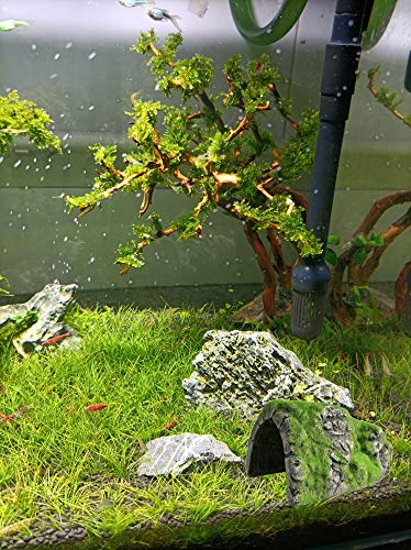 M2cbridge Aquarium Decorations Fish Hideout House Betta Cave with Green Lifelike Moss (Betta Rock Cave) - Image 7