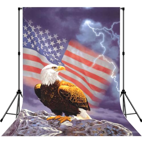 Toile de fond aigle USA pour réussir vos portraits sans reflets