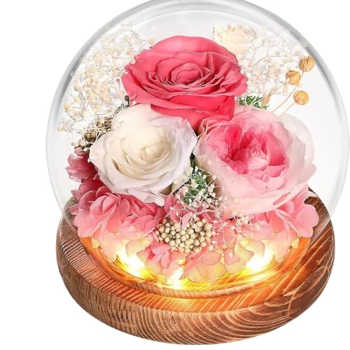 Bivoyud 球面ガラスカバー プリザーブドフラワー バラ カーネーション ひまわり プリザーブドフラワー ギフト バレンタインデー 母の日 ギフト (濃いピンク)