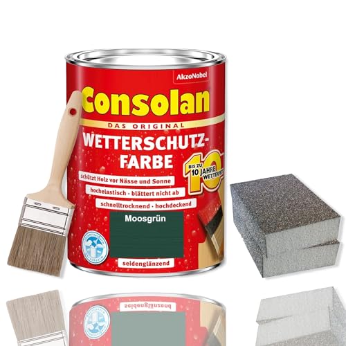 Consolan - Pintura protectora contra la intemperie, 2,5 l, protección para madera, juego de pinceles