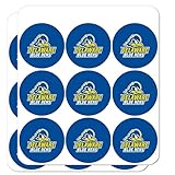MAKE IT MEMORABLE: Create a reminder as unique as you are. Our licensed stickers are ideal for adding that personal touch to planners, calendars, scrapbook pages, handmade cards, and other projects. EASY PEEL & STICK: Includes 18 clear stickers. Stic...