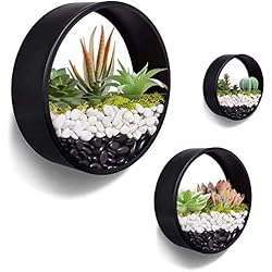 Macetero Alto Metal Negro JonesHouseDeco 3 juegos de macetas redondas de pared negra maceta colgante jarrón de metal suculento macetas decoración del hogar interior