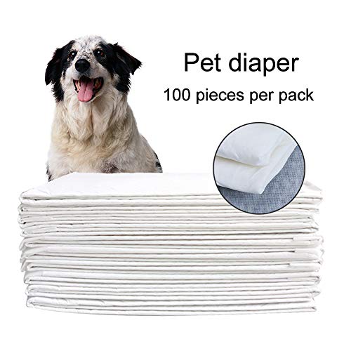 ghfashion Einweg-Windeln für Hunde, Bambuskohle, 100 Stück