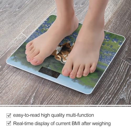 Báscula digital de baño Bluebonnet Longhorn con pantalla LCD clara miniatura 5