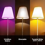 Kasa Smart Light Bulbs, Full Colour Changing Dimmable Smart WiFi Bulbs Compatible with Alexa and Google Home, A19, 9W 800 Lumens,2.4Ghz only, No Hub Required, 2-Pack (KL125P2), Multicolour
