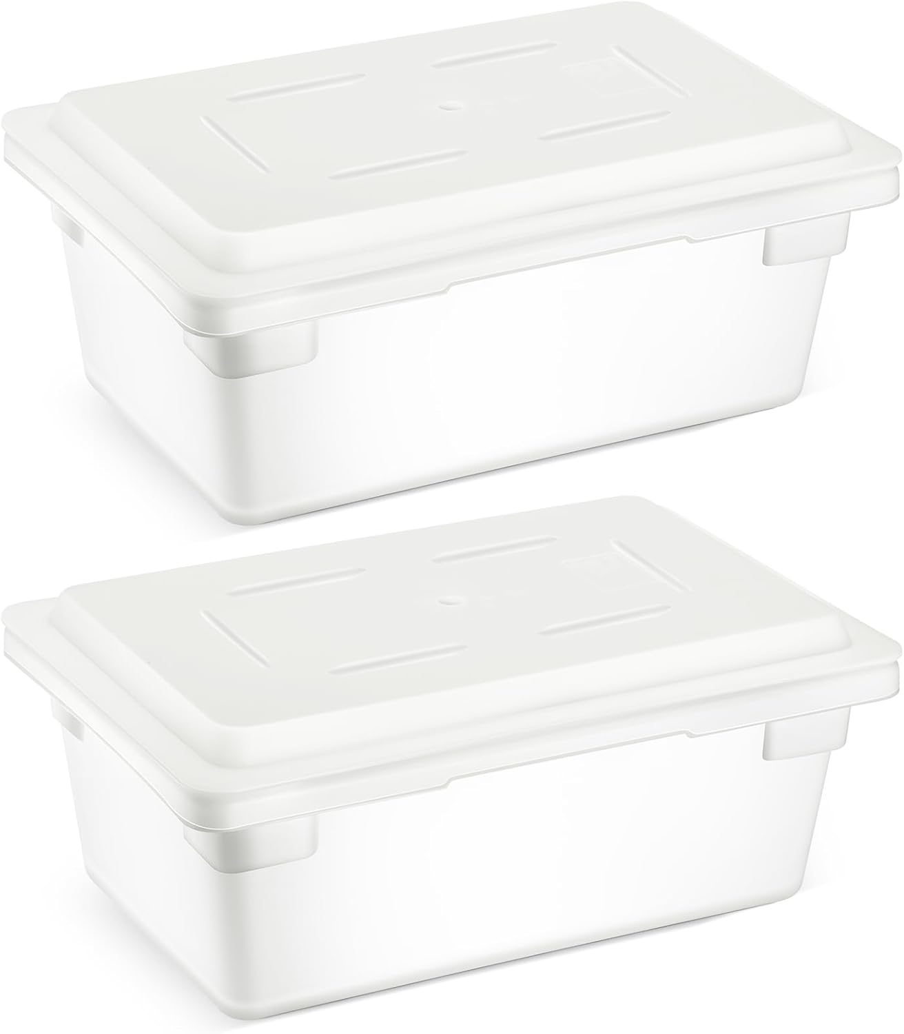 Barydat 2 Pack Food Storage Box Tote, Freezer and Dishwasher Safe Commercial Food