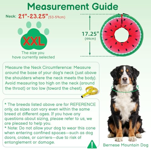 Image of Dog Cone, No-Inflation Sponge Donut Collar for Dogs After Surgery