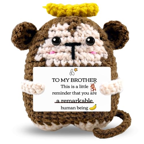 hixkvpen Christmas Brother Gifts from Sister, Positive Monkey Gifts for Men