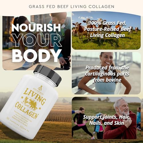 Ancestral Supplements Grass Fed Beef Living Collagen Nutritional Powder Supplement, 3000mg, Promotes Healthier, Younger Looking Skin, Hair, Nails and Joints, Type II, 180 Capsules - Image 4