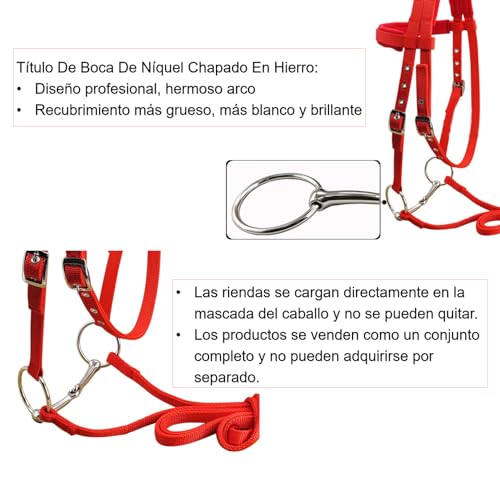 Encuentra reviews de Herradura freno que puedes comprar esta semana. 6 Imagen adicional